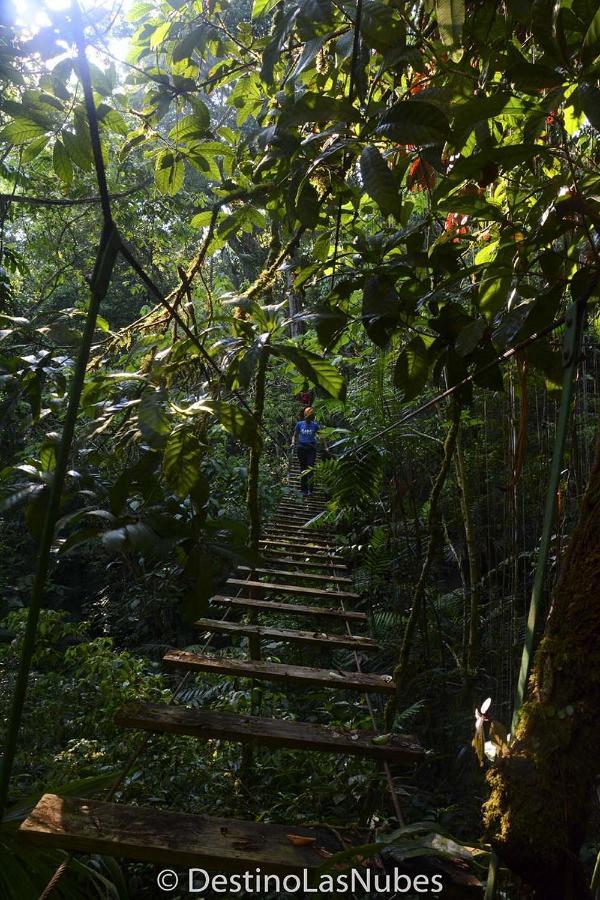 Ciudad De Las Rocas La Fortuna Gallo Giro Extérieur photo